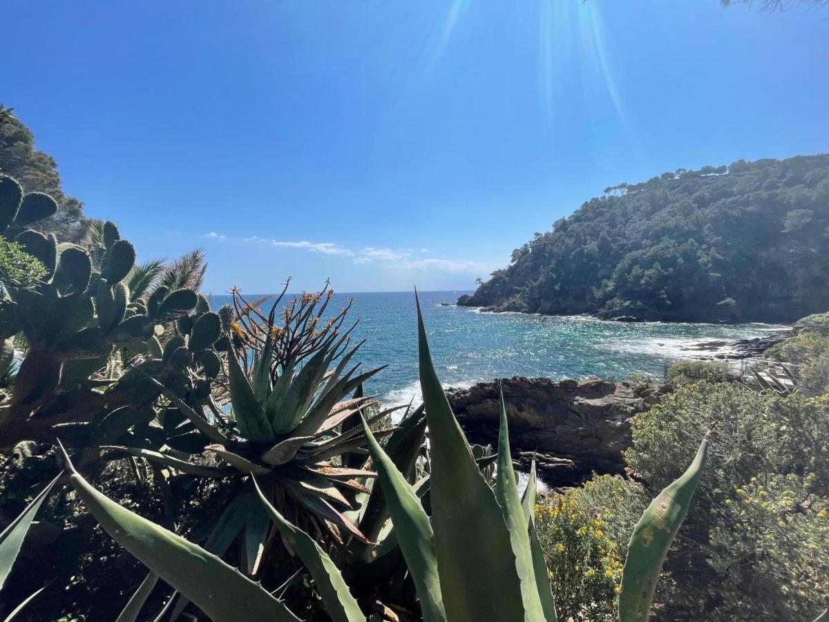 La Villa Cavalaire Luaran gambar