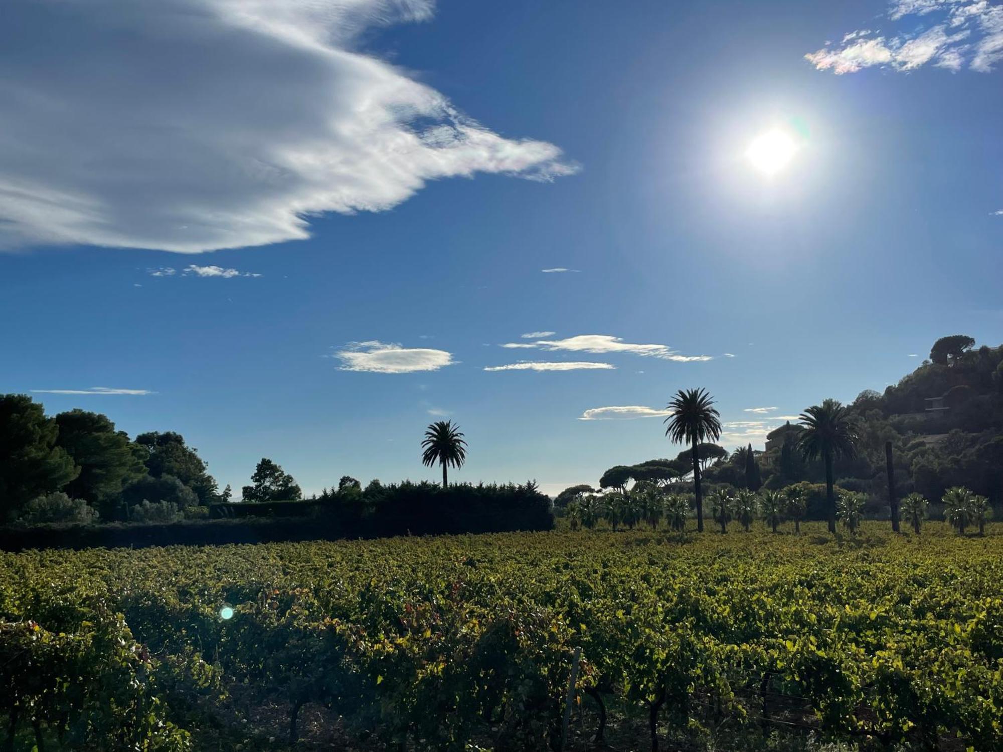 La Villa Cavalaire Luaran gambar
